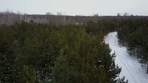 Flight over the winter forest Stock Footage 86254759
