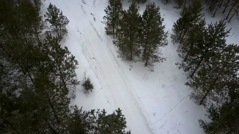 Flight over the winter forest Stock Footage 86254807