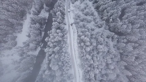 Flight over winter forest Stock Footage 129689785