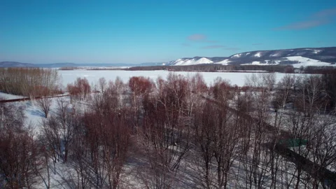 Flight over the winter forest Stock Footage 325854835