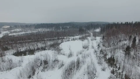 Flight over the winter forest landscape in cloudy weather with a snowfall. Stock Footage 92850665