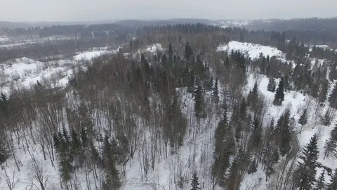 Flight over the winter forest landscape in cloudy weather with a snowfall. Stock Footage 92852619