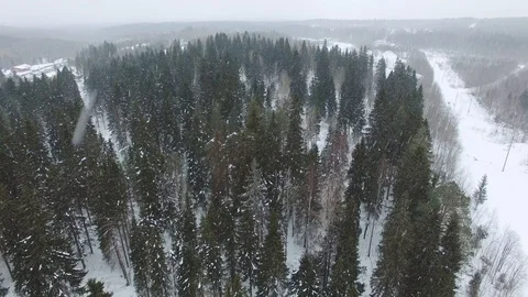 Flight over the winter forest landscape in cloudy weather with a snowfall. Stock Footage 93082738