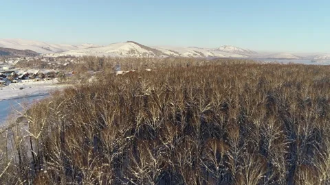 Flight over the winter forest to the mountains on a sunny morning. A village on Stock Footage 136720102