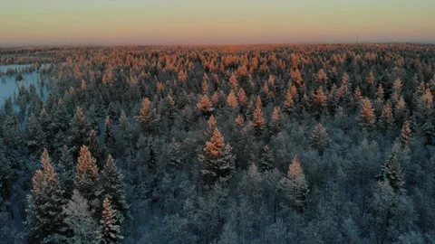 Flight over the winter forest in the north, aerial view from above Stock Footage 170050742