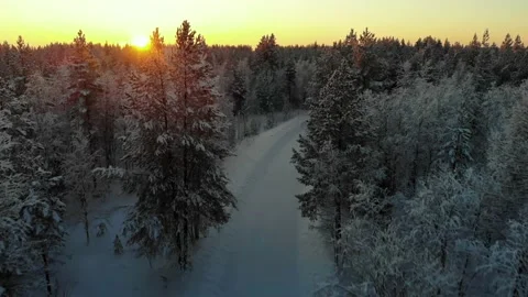 Flight over the winter forest in the north, aerial view from above Stock Footage 170051848