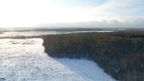 Flight over the winter forest. Russia Video stock 83801883