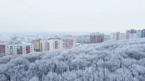 Flight over winter forest with snowy trees overlooking the buildings city view Stock Footage 168223293
