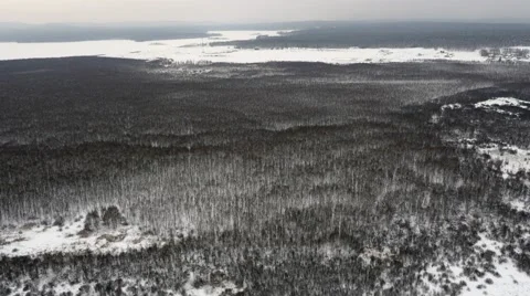 Flight over Winter Forrest Stock Footage 59999796