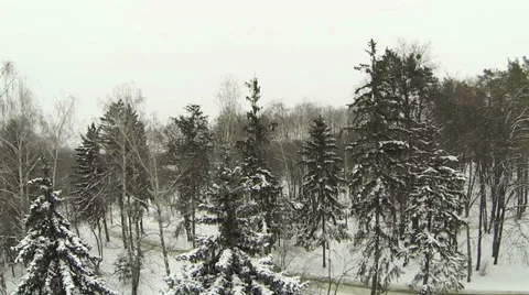 Flight over winter trees in park. Aerial Stock Footage 33374487