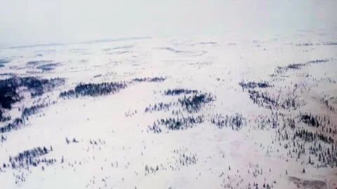 Flight over the winter tundra Stock Footage 240551578