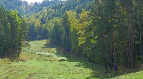 Flight over the wood Stock Footage 55180752