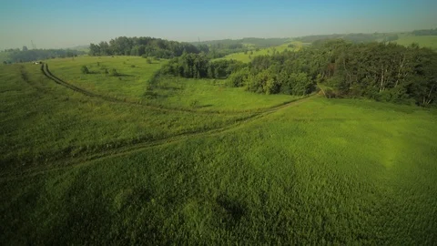 A flight over the woods and fields Stock Footage 119261169