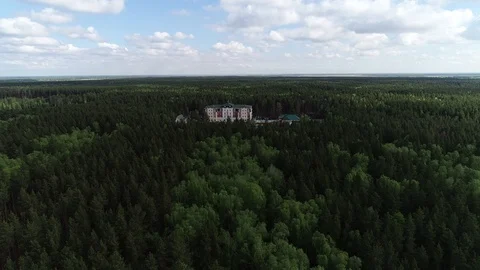 Flight to the Palace in the Forrest Stock Footage 95771254