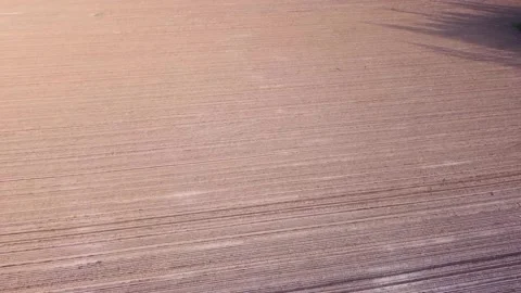 Flight pan over a large crop field in spring with drone Stock Footage 219281415