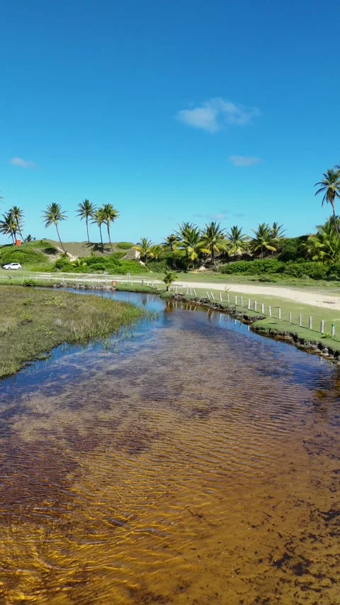 Flight Panoramic Stockbeeldmateriaal 317764804