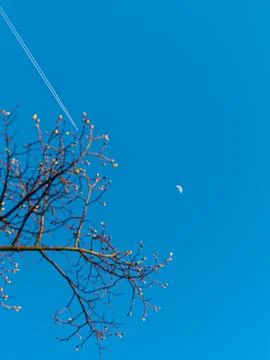 Flight Past the Moon 스톡 사진