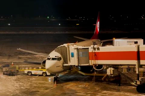 Before the flight Stock Photos