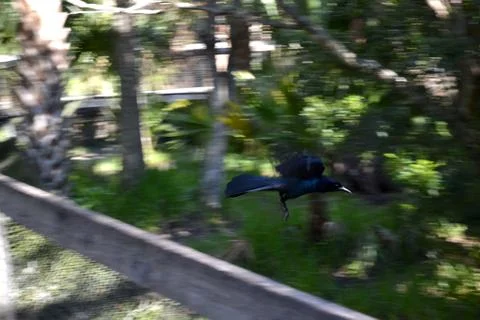 In flight Stock Photos