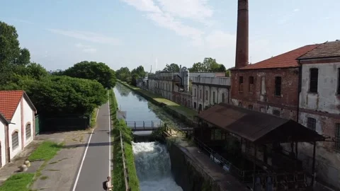 A flight pigeons Video stock 247461915