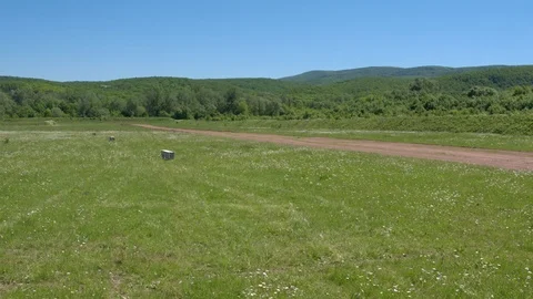 Flight with plane Vídeo Stock 94724846