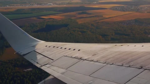 Flight by plane view from the window on the wing of the plane, forest under the Stock Footage 167356700