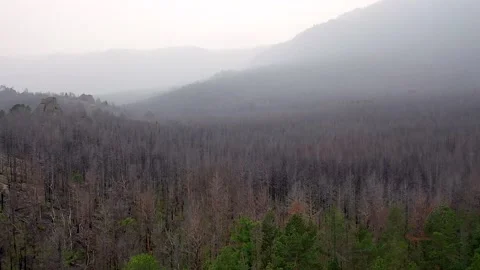 Flight on a quadcopter over the forest of Lake Baikal. Stock Footage 154521352