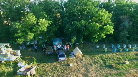 Flight to Quadrocopters on Apiary at Sunset 库存影片 53801657