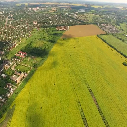 Flight to Quadrocopters Over The Field of Blossoming Sunflowers. Aerial Survey Stock Footage 69504321