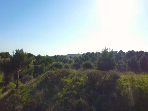 Flight on the quarry with a beautiful sun Stock Footage 72229942