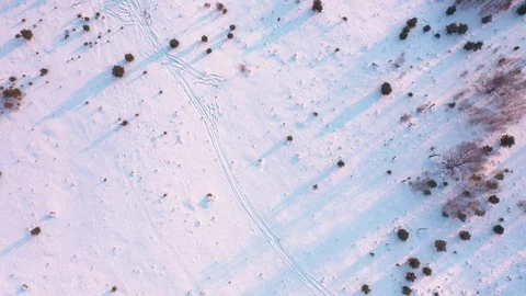 Flight on a rare winter forest cut down by lumberjacks Stock Footage 126320971