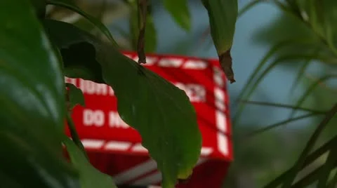 Flight Recorder, plants Video stock 21949681