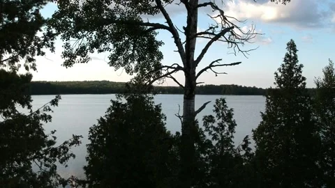 A flight revealing lake beyond the tree tops. Видео 137072525