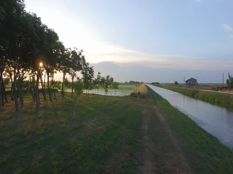 Flight from the rice fields towards the sun Stock Footage 72204497