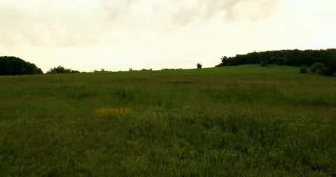 Flight right close to the grass in the park Pirogovo in Kiev Ukraine Stock Footage 111873489