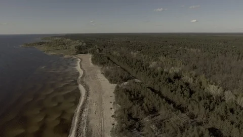 Flight right On the left the water on the right the forest camera looks right Stock Footage 111874581