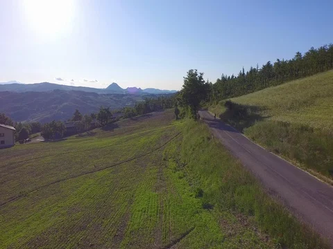 Flight on the road along a field Stock Footage 72218239