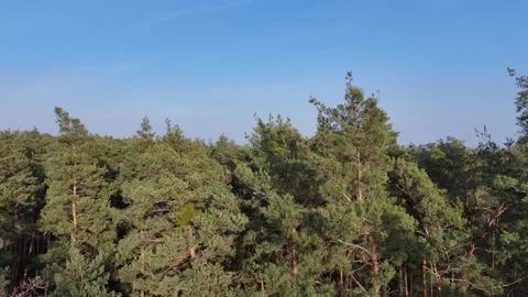 Flight at Roedermark Video stock 266328181