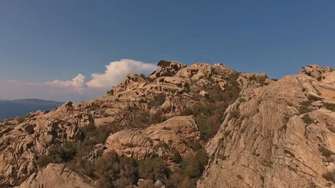 Flight Sardinia Bear cap 1 Video stock 103427089