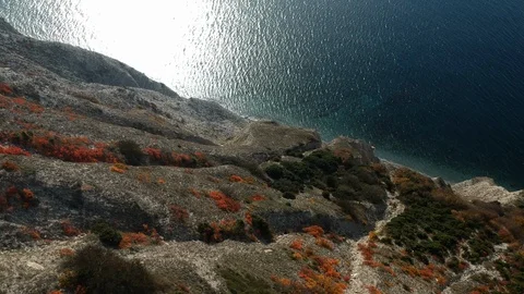 Flight at sea3 Stock Footage 128692660