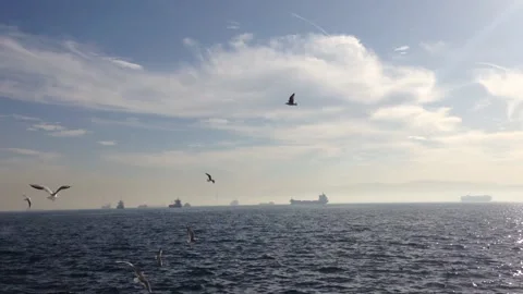 Flight of seagulls over the Bosphorus strait Stock Footage 145374401