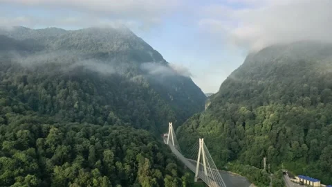 Flight sideways modern cable-stayed road bridge to resort Sochi Russia suburban Vidéo 145574192