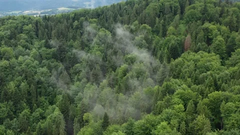 Flight in the sky over the mountains of Poland Stock Footage 249735153