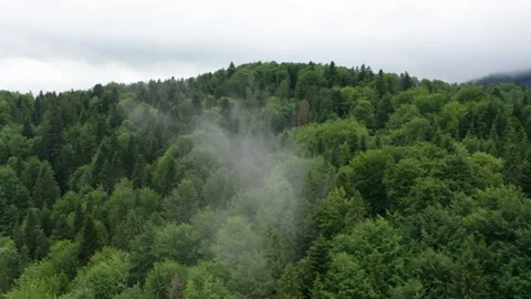 Flight in the sky over the mountains of Poland Stock Footage 249735416