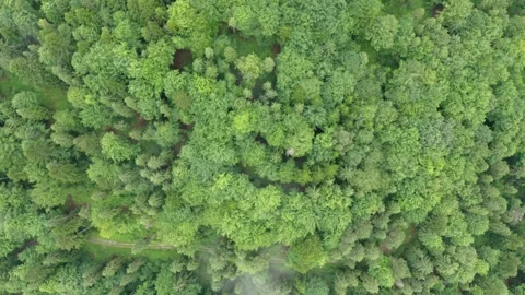 Flight in the sky over the mountains of Poland Stock Footage 249735558