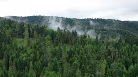 Flight in the sky over the mountains of Poland Stock Footage 249737241