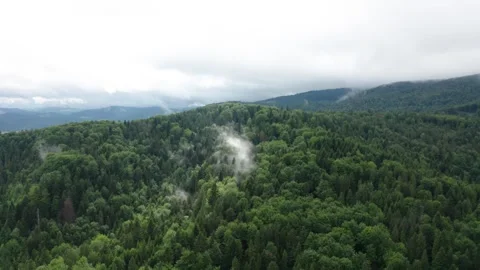Flight in the sky over the mountains of Poland Stock Footage 249739031