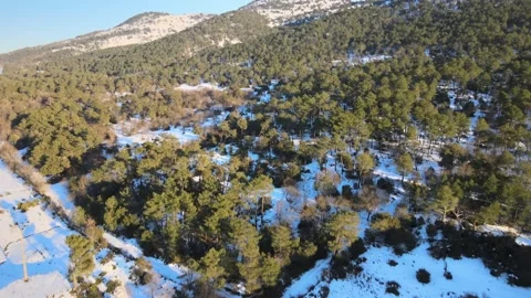 Flight to the snowy mountains 스톡 동영상 196288103