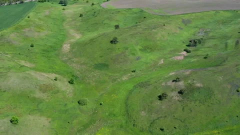 A flight in the spring on a quadcopter over a field with green grass Stock Footage 196289329