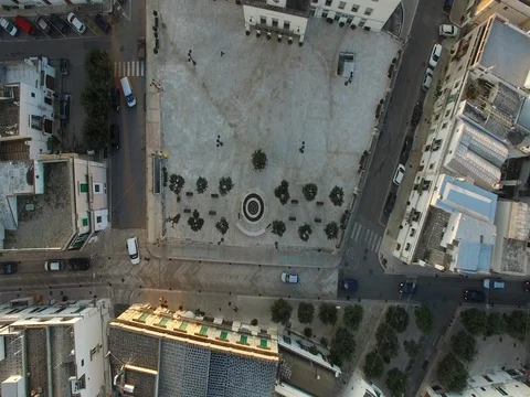 Flight on the square in a mild winter Stock Footage 72418678